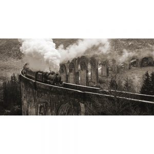 TM2334 steam train over viaduct sepia