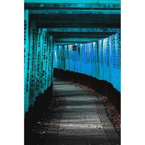 TM2465 chinese pathway turquoise