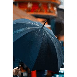 TM2548 manchester umbrella raining