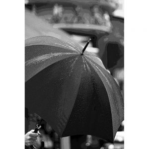 TM2549 manchester umbrella raining mono