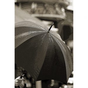 TM2550 manchester umbrella raining sepia