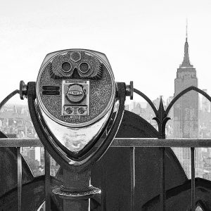 TM2650 viewfinder new york mono