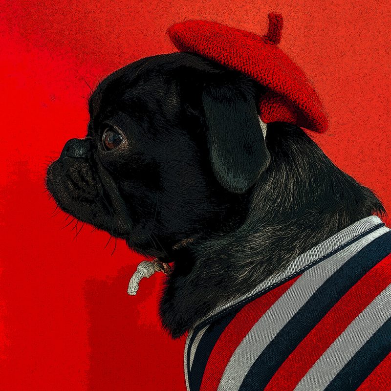 TM2851 dog hat coat red