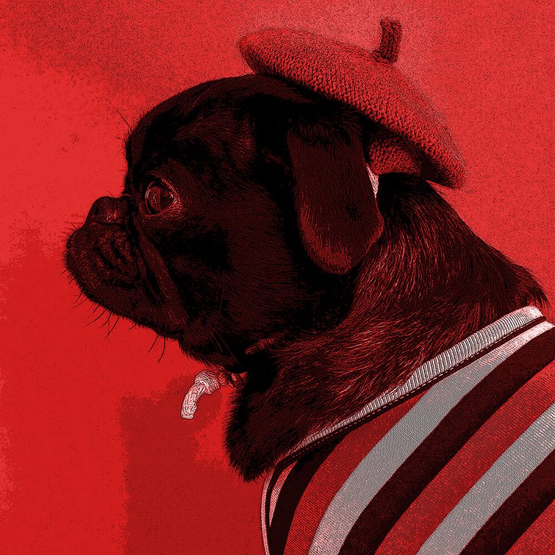 TM2853 dog hat coat bright red