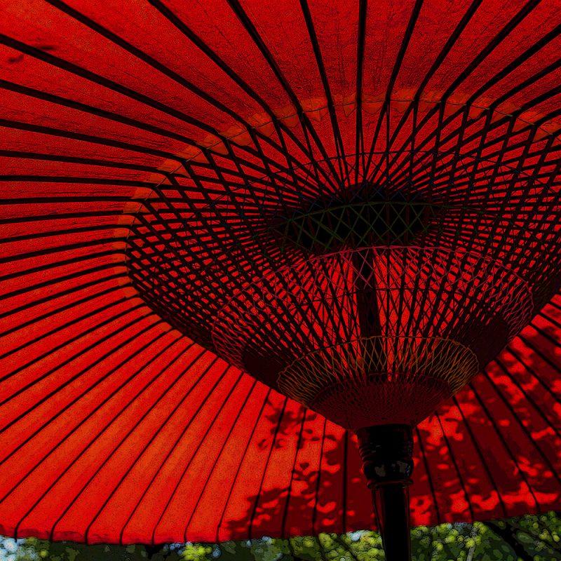 TM2863 large canopy umbrella red