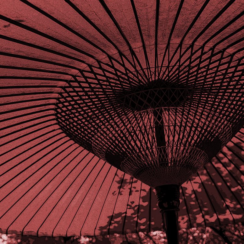TM2866 large canopy umbrella light red