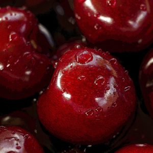 TM2867 cherries fruit detail red