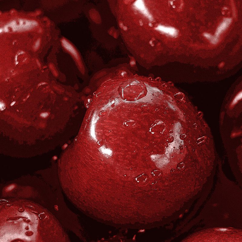 TM2869 cherries fruit detail bright red