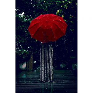 TM2895 lady umbrella rain steps red