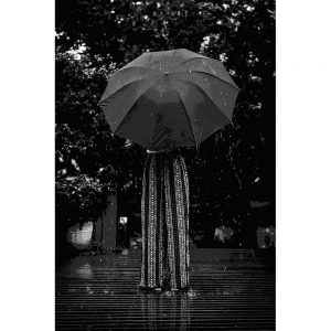 TM2896 lady umbrella rain steps mono