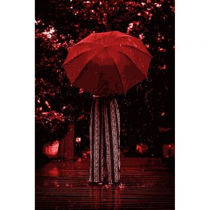 TM2897 lady umbrella rain steps bright red