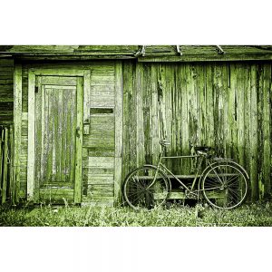 TM2915 bicycle bike old shack bright green