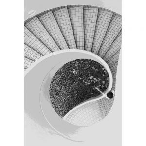 TM2938 spiral staircase girl leaves mono
