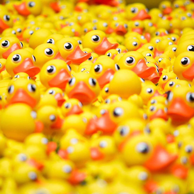 TM2953 yellow plastic ducks