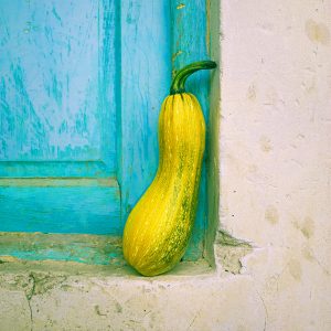 TM2955 yellow vegetable door