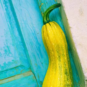 TM2956 yellow vegetable door detail