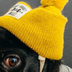 TM2990 yellow wool hat dog detail
