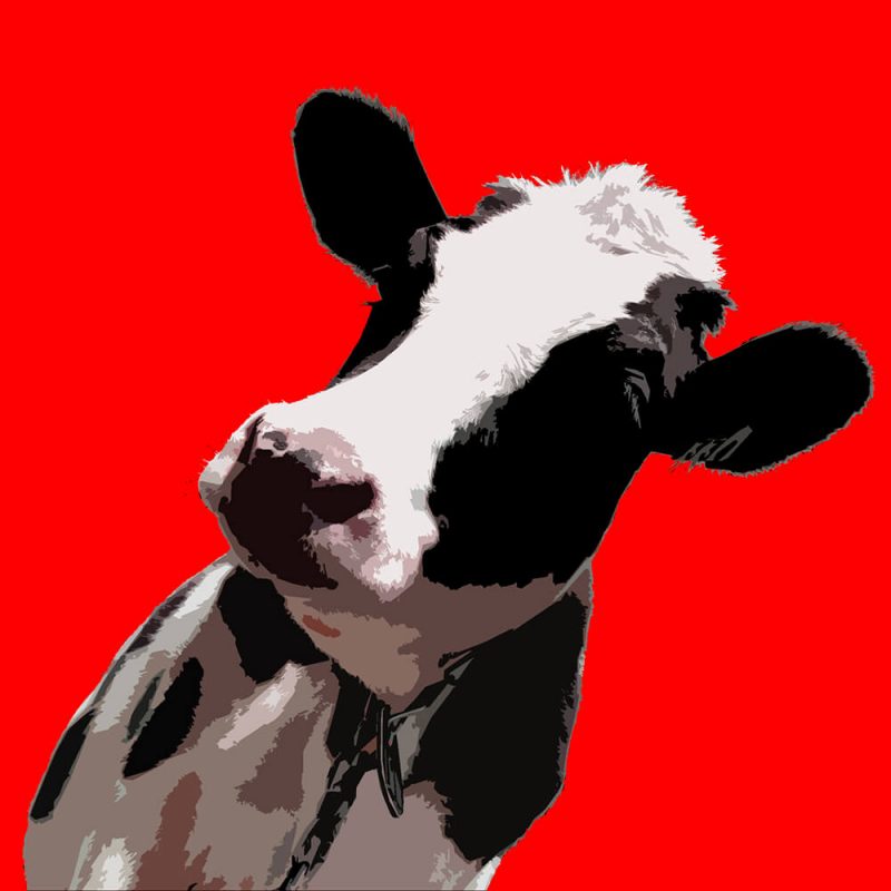 SG2596 popart cow graphic animal illustration