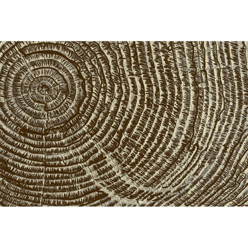 SG2601 tree trunk rings inside pattern