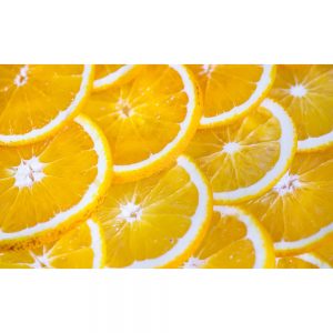 SG2649 fruit oranges slices