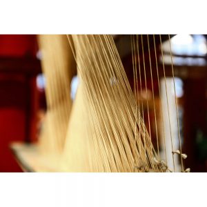 SG2669 weaving