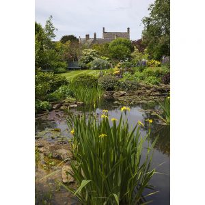 SG2675 cotswold cottage garden pond england