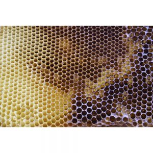 SG2704 honeycomb pattern