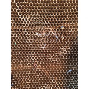 SG2705 honeycomb pattern