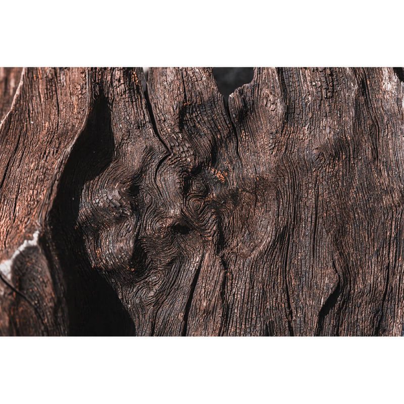 SG2736 weathered wood texture