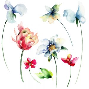 SG2764 wild flowers watercolor