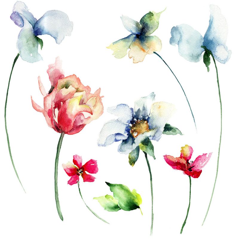 SG2764 wild flowers watercolor