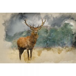 SG2794 watercolour deer stag