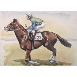 SG786 horses animals race racing jocky