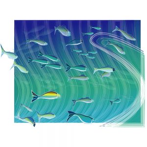 SG815 fish shoal water sea underwater