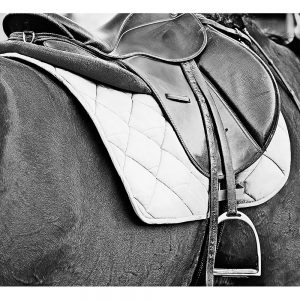 SG3083 horse saddle cheltenham england