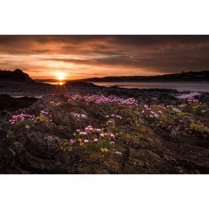 SG3132 sunset coastline clonakilty county cork ireland