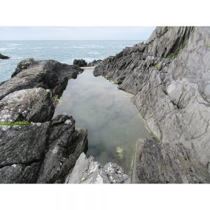 SG3134 rock pool coastline sea cliffs county cork ireland