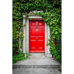 SG3135 red door ivy kinsale county cork ireland