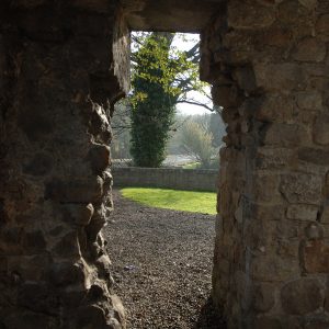 SG3161 ancient doorway monkstown dublin ireland