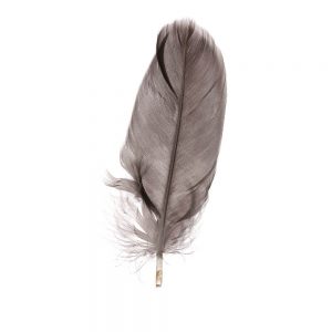SG3295 feather