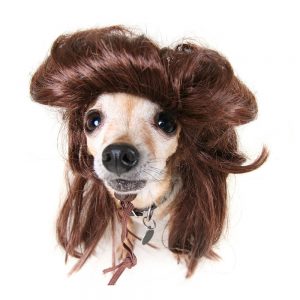 SG3303 dog wig humour
