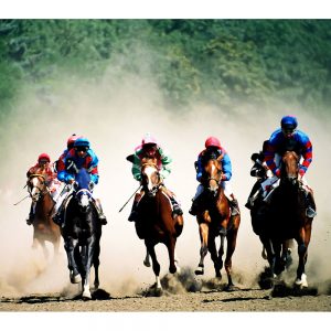 SG3315 horse racing jockey