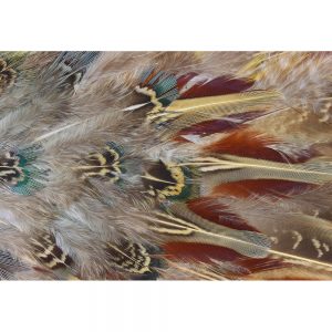SG3348 pheasant feathers