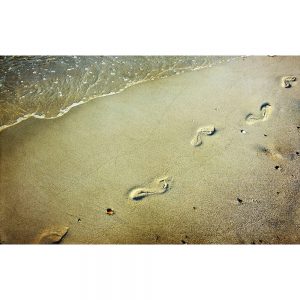 SG3441 footsteps sand beach