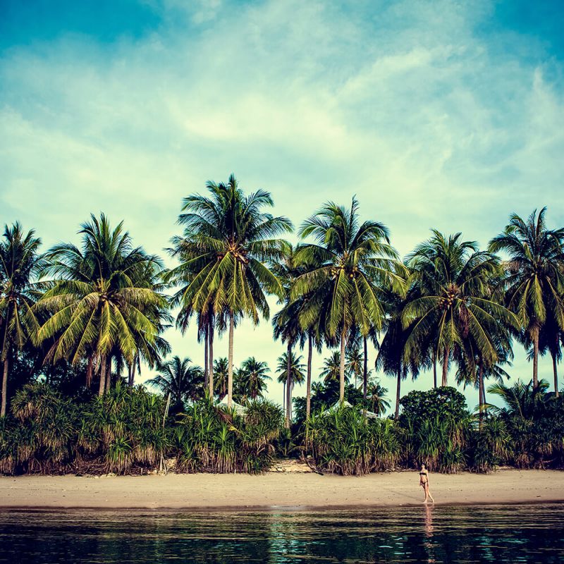 SG3442 girl beach shore palms