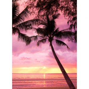 SG3459 dusk palm trees paradise
