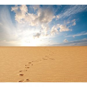 SG3470 sand dessert footprints