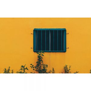 SG3657 window wall orange