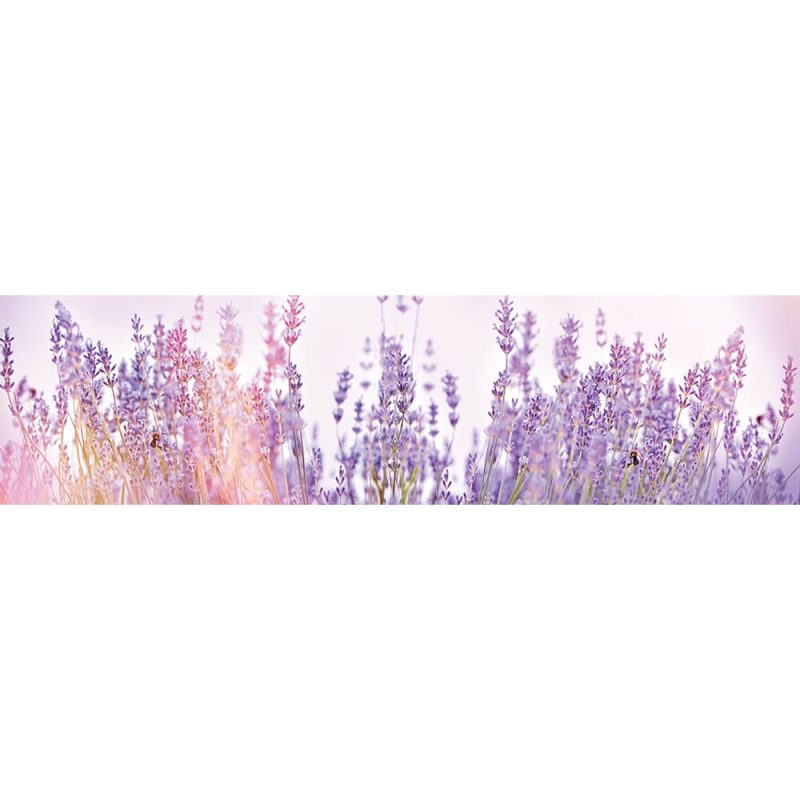SG3658 lavender flowers