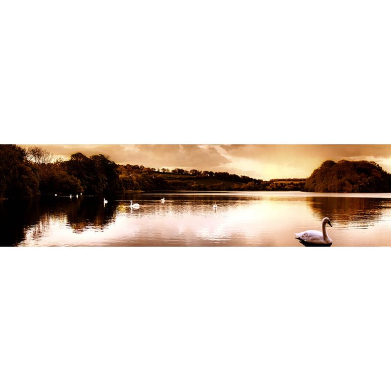 SG3682 swan lake scottish highlands sunset